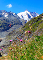 Der Gro&szlig;glockner - unser h&ouml;chster Berg &Ouml;sterreichs
