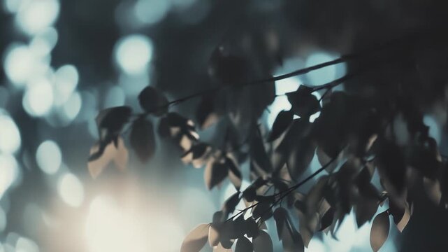 Natural green leaves are gently illuminated by a soft, warm light source, creating a tranquil bokeh background with shimmering out of focus lights, evoking a serene and peaceful atmosphere
