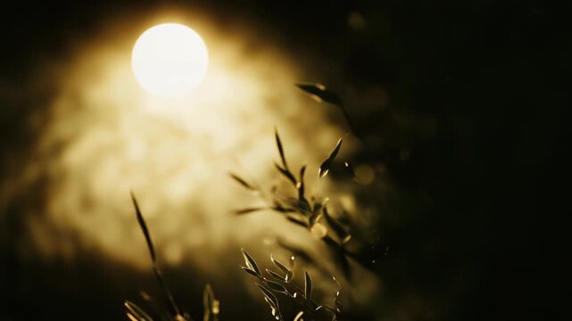 Delicate green leaves are shimmering with warm golden light, creating a serene and introspective natural scene at dawn, featuring soft bokeh effects in a peaceful garden setting