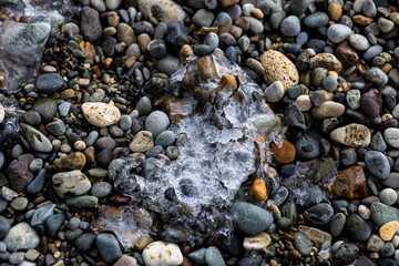 winter beach in the velvet tourist season. frozen jellyfish on cold rocks. frozen jellyfish in close-up