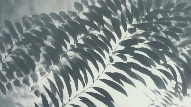Delicate green leaves creating contrasting shadow patterns and framing a soft gray background, conveying a sense of calm, minimalism, and natural simplicity with ample copy space