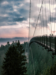 wild Line in Bad Wildbad