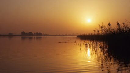Fototapeta premium Golden sunset reflecting on a calm lake