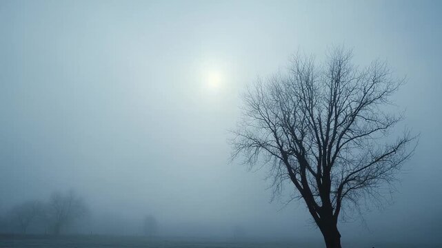 Bare tree silhouette standing alone in a vast, desolate, and frozen field, surrounded by thick atmospheric fog with the diffused sun barely visible in a muted, cold sky