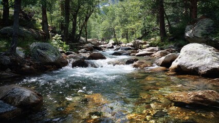 Mountain Stream in Forest