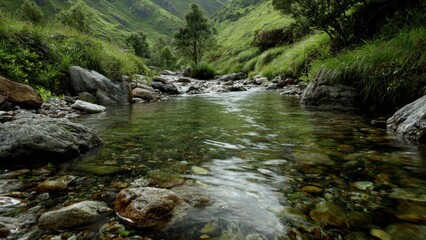 Fototapeta premium Mountain Stream in Verdant Valley