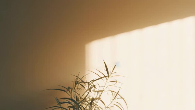 Potted indoor plant receiving warm natural light from a window, creating a calming abstract shadow pattern on the wall, embodying a sense of peace and growth