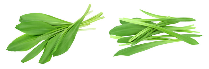Fototapeta premium Ramson leaves isolated on white background with full depth of field, Top view. Flat lay