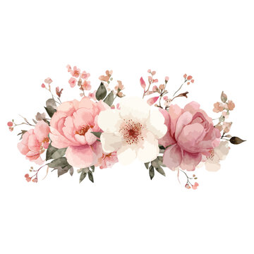 Pink rose flower horizontal bouquet vector illustration