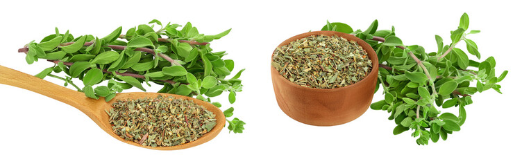 Oregano or marjoram leaves fresh and dry in wooden spoon and bowl isolated on white background with full depth of field © kolesnikovserg