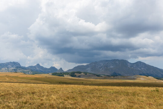Expansive golden grassland stretches toward rugged mountains