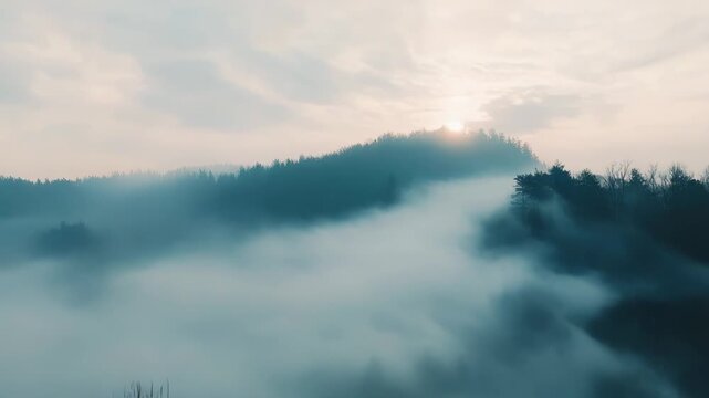Winter morning fog blankets a rural landscape, a lone bare tree in the foreground with forested hills and muted silhouettes emerging through ethereal mist and soft grey blue light