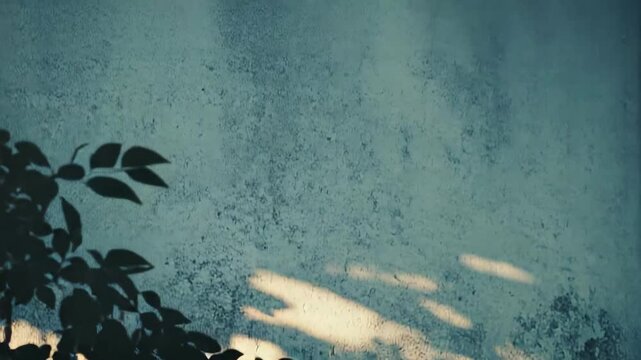 Sunlight creates abstract leaf patterns, casting dark shadows and bright highlights on a textured, weathered wall, bringing a sense of nature and organic contrast to the urban surface