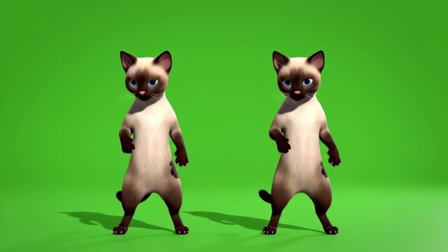 Two animated siamese cats dancing happily on a green screen background for compositing and visual effects projects