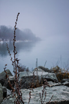 Plant thrives despite the conditions