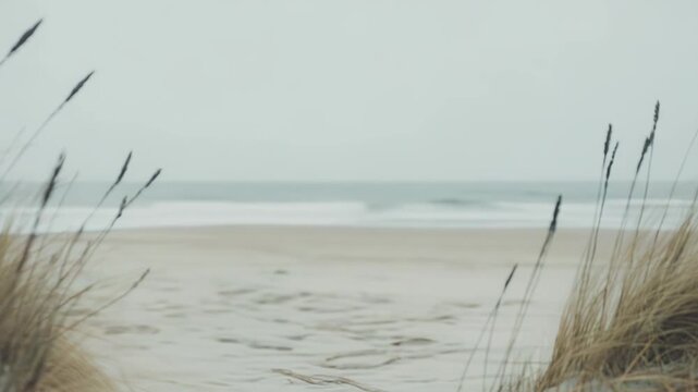 Sandy path winding between natural dunes with dry grass and subtle waves washing onto the deserted shore under a serene, clear sky, representing escape, journey, and freedom