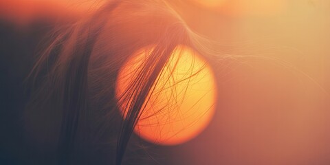Sunset through hair