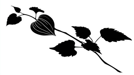 Black and White Leaf Silhouette on Plain Background