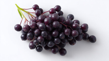 Fresh cluster of dark berries with dew drops