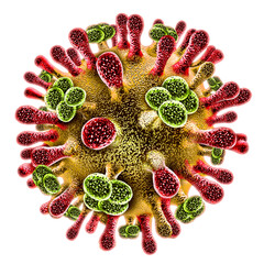 Nipah Virus isolated on white as an outbreak and Disease spread as a a zoonotic pathogen transmitted to humans from wild and domestic animals.