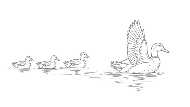 Charming Family of Ducks Migrating Across Serene Pond for All Ages. transparent.