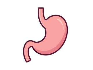 Obraz premium A detailed vector illustration of a human stomach, perfect for medical and educational content