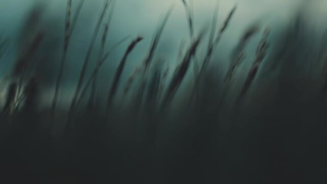 Close up view of delicate grass stalks with long stems and seeds, gently swaying in a tranquil field under a serene sky, capturing growth, freedom, and a peaceful natural environment