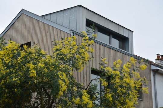 Extension maison - Construction bois - Charpente et isolation