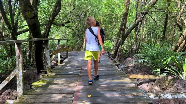 People walk along the paths to the visitor platforms of the Labuk Bay Nature Reserve to see the proboscis monkeys. The path goes through dense forests and mangroves. 4К