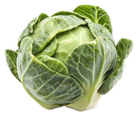Obraz premium PNG Brussels sprout vegetable produce cabbage.
