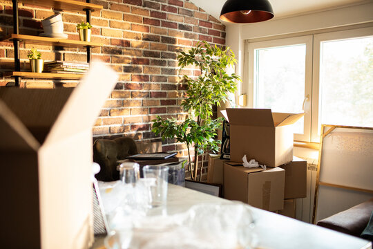 Sunny living room with moving boxes by window