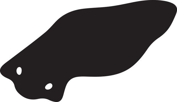 Planarian Flatworm with Regenerative Body Structure in Water