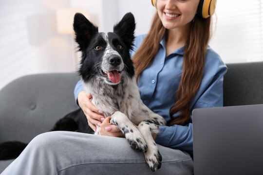 Smiling woman with her adorable dog on sofa at home, closeup