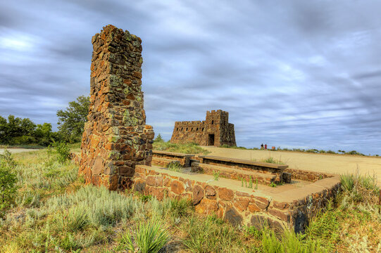 Coronado Heights Castle Ruins. A slanted tree trunk extends from a bright green moss-covered mound in a deciduous forest setting.