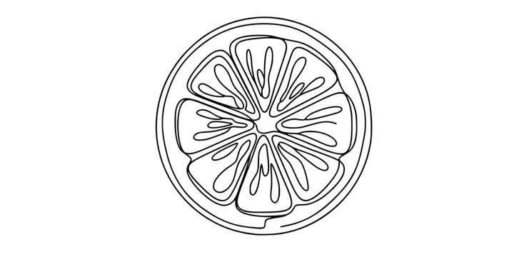 A round slice of lemon or orange with distinct segments, symbolizing freshness, vitamins, and healthy eating. Drawing in one line art style with editable black stroke. 