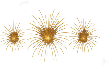 Fototapeta premium Golden fireworks exploding bright sparks transparent background