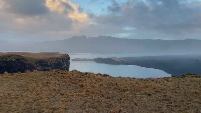 Static shot of Reynisfjara beach and coastal lagoon with orange winter grass and seagulls, Iceland. HD 1080p.