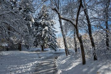 Landscape of South Park in city of Sofia, Bulgaria
