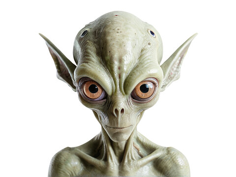 A detailed view of an extraterrestrial being, great for sci-fi themed projects or as a symbol for exploration