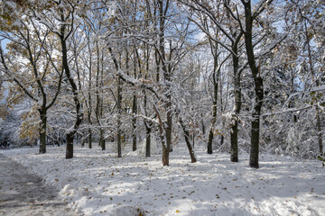 Fototapeta premium Landscape of South Park in city of Sofia, Bulgaria