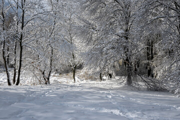 Obraz premium Landscape of South Park in city of Sofia, Bulgaria