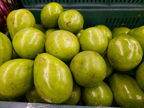 Persea americana, llamado popularmente aguacate, ​​​ palto, ​​ curo, ​ aguacatero ​ o avocado, ​ es una especie arb&oacute;rea del g&eacute;nero Persea perteneciente a la familia Lauraceae, cuyo fruto, el aguacate,