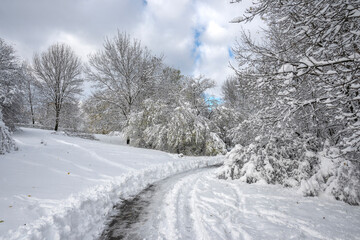 Landscape of South Park in city of Sofia, Bulgaria