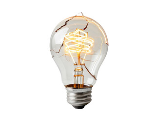 A close-up shot of a light bulb with twisted wire inside, often used for decorative or DIY purposes