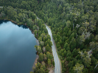 Aerial shot of a coastal road through a dense forest by a lake
