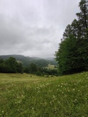 This vertical landscape photograph captures the serene beauty of rolling hills covered in dense green forests under a heavy, overcast sky. In the foreground, a vibrant green meadow with subtle