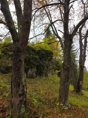 This vertical landscape photograph captures a serene moment deep within an autumn forest, featuring a massive limestone cliff face draped in vibrant green moss. The composition is expertly framed by