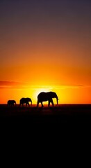 Fototapeta premium Majestic silhouettes of an elephant family moving together across the vast savanna plain during the golden hour of sunset and twilight, landscape, wildlife, color