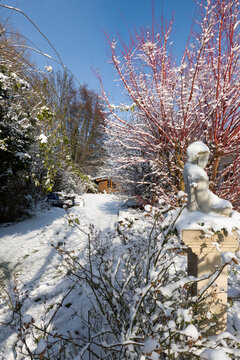 Gartenlandschaft im Winter