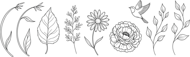 Minimalist Black and White Botanical Line Art Illustration Set Featuring Wildflowers Leaves and a Small Bird for Coloring Pages and Nature Themed Wedding Stationery © IconicCreations